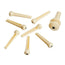D'Addario PWPS12 Molded Bridge Pins with End Pin, Set of 7, Ivory with Black Dot