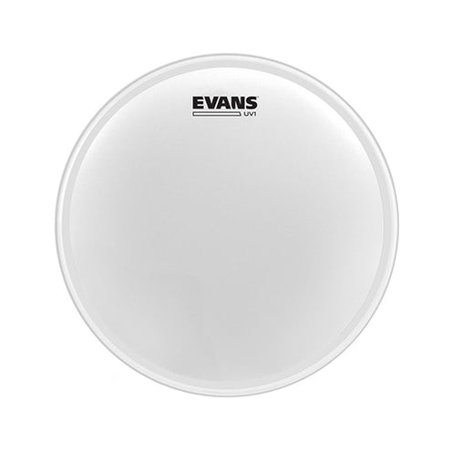 Evans B14UV1 14inch UV1 Coated - Snare