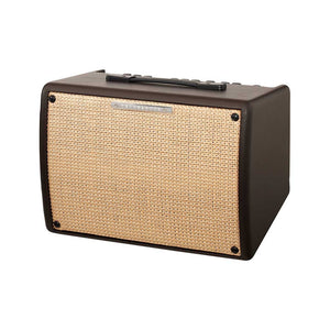 Ibanez T30II-E Troubadour II 30W Acoustic Guitar Combo Amplifier