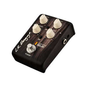 LR Baggs Align Series Delay Acoustic Pedal