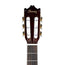 Ibanez GA5TCE-AM Thinline Classical Guitar, Natural