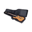 Warwick RB20705B Royal Premium Bass Guitar Bag, Black